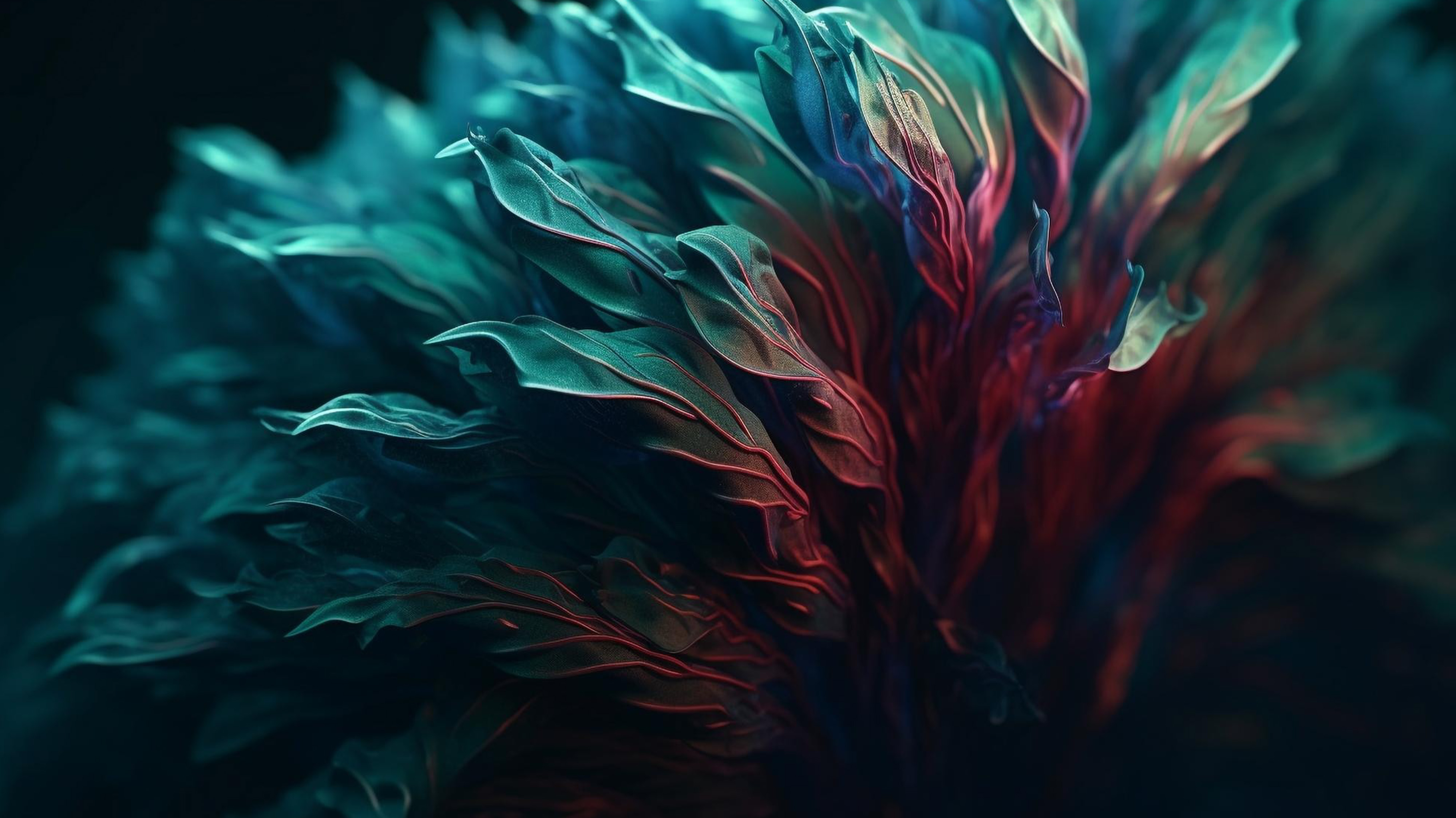 slider-image